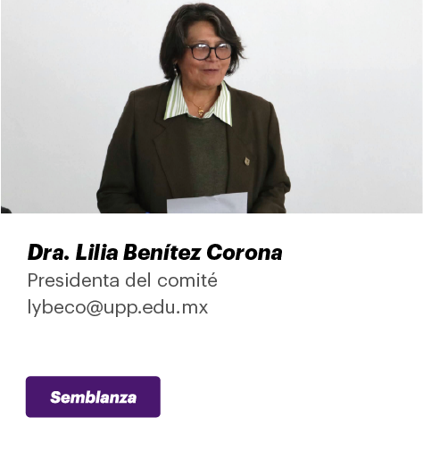 Comité Organizador