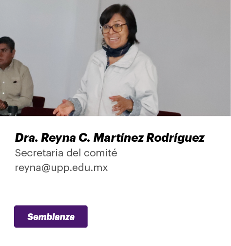 Comité Organizador